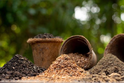 Bật Mí Cách Sử Dụng Phân Bón Hữu Cơ Hiệu Quả